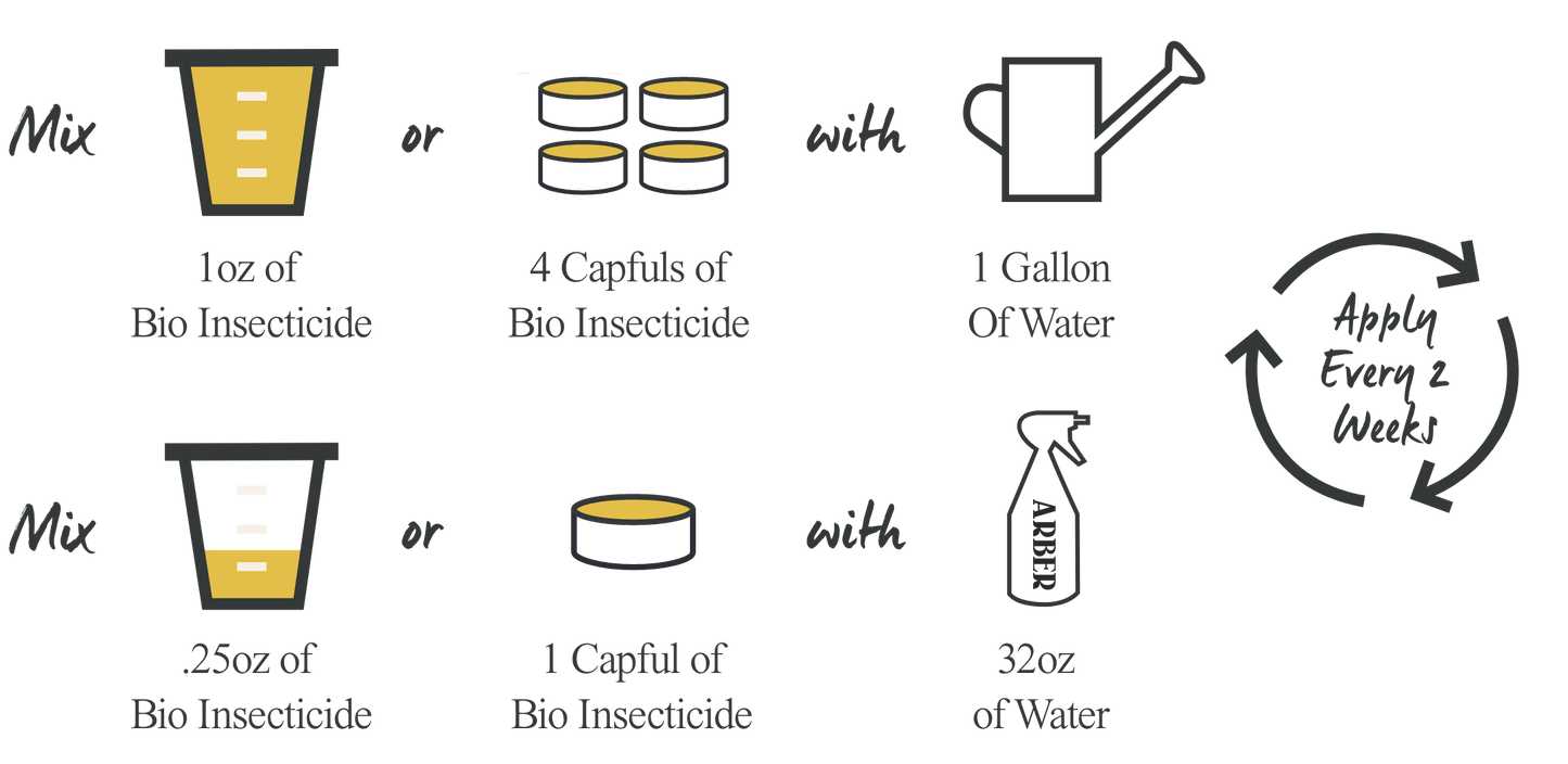 Organic Bio Insecticide - Arber